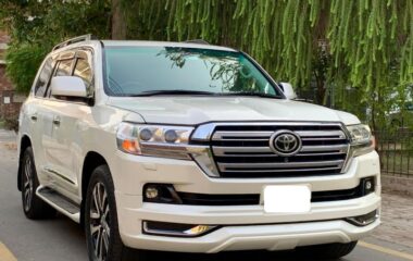 Toyota Land Cruiser ZX 2010